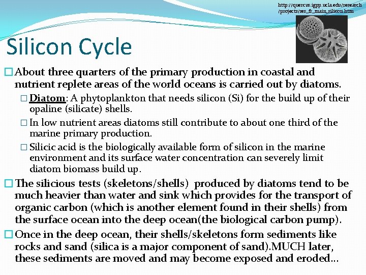 http: //quercus. igpp. ucla. edu/research /projects/res_fr_main_silicon. htm Silicon Cycle �About three quarters of the http: //quercus. igpp. ucla. edu/research /projects/res_fr_main_silicon. htm Silicon Cycle �About three quarters of the