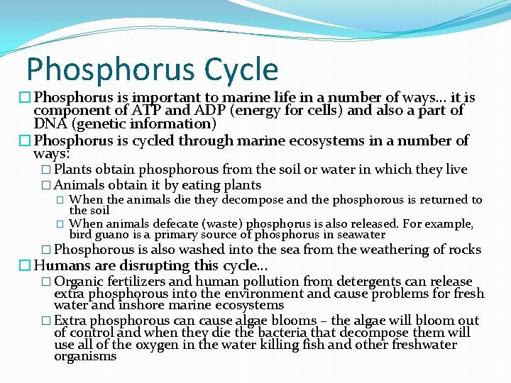 Phosphorus Cycle �Phosphorus is important to marine life in a number of ways… it Phosphorus Cycle �Phosphorus is important to marine life in a number of ways… it