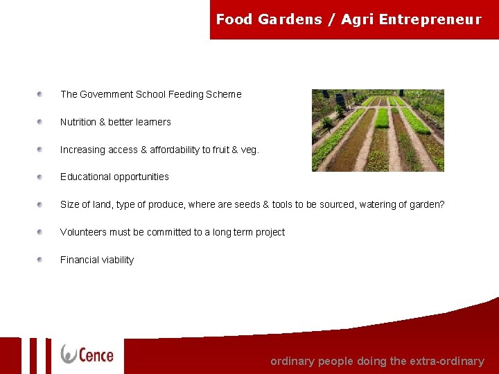 Food Gardens / Agri Entrepreneur The Government School Feeding Scheme Nutrition & better learners Food Gardens / Agri Entrepreneur The Government School Feeding Scheme Nutrition & better learners