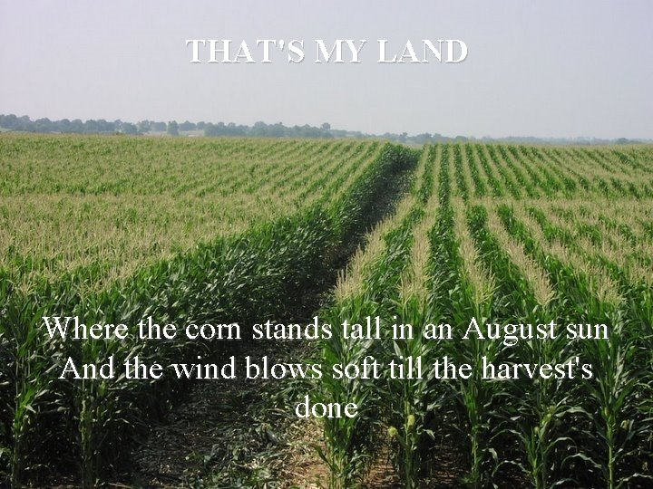 THAT'S MY LAND Where the corn stands tall in an August sun And the