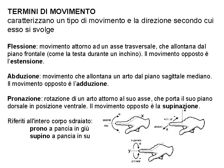 TERMINI DI MOVIMENTO caratterizzano un tipo di movimento e la direzione secondo cui esso