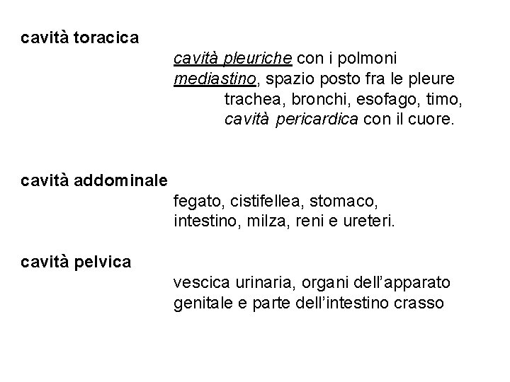 cavità toracica cavità pleuriche con i polmoni mediastino, spazio posto fra le pleure trachea,