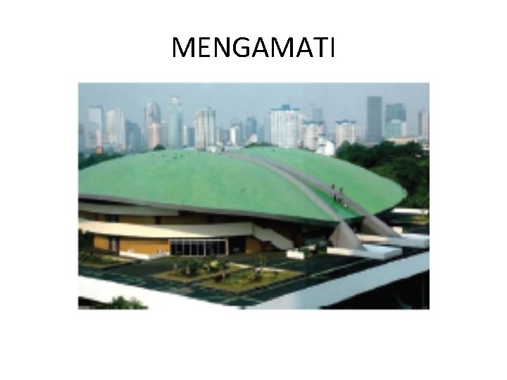 MENGAMATI 