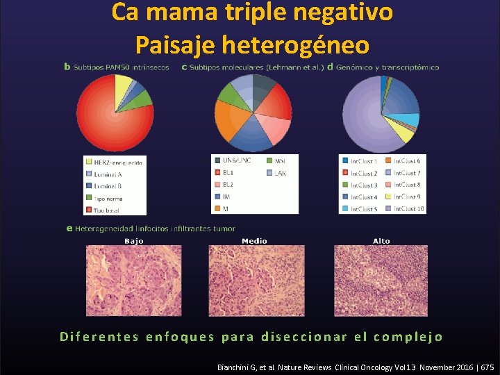 Ca mama triple negativo Paisaje heterogéneo Diferentes enfoques para diseccionar el complejo Bianchini G,