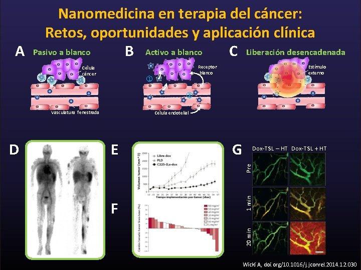 Nanomedicina en terapia del cáncer: Retos, oportunidades y aplicación clínica A Pasivo a blanco