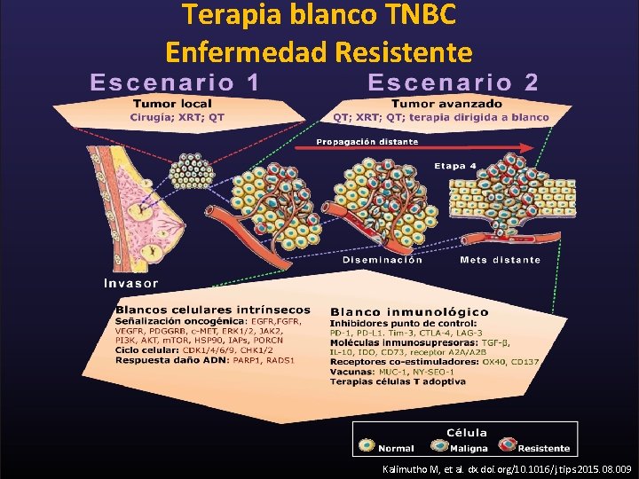 Terapia blanco TNBC Enfermedad Resistente Kalimutho M, et al. dx. doi. org/10. 1016/j. tips.