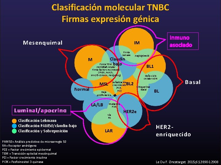 Clasificación molecular TNBC Firmas expresión génica Mesenquimal IM M Firma inmune Claudin Firma TEM:
