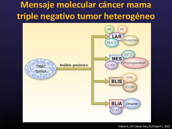 Mensaje molecular cáncer mama triple negativo tumor heterogéneo Vidula N, Clin Cancer Res; 21(7)