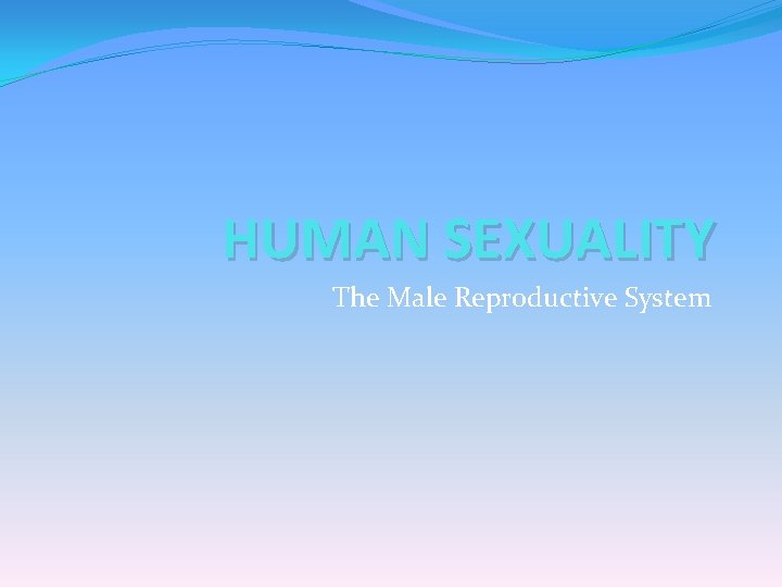 HUMAN SEXUALITY The Male Reproductive System 