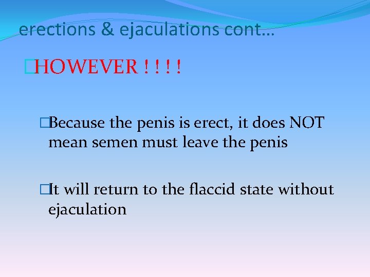 erections & ejaculations cont… �HOWEVER ! ! �Because the penis is erect, it does