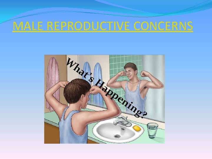MALE REPRODUCTIVE CONCERNS W ha t’s Ha pp en in g ? 