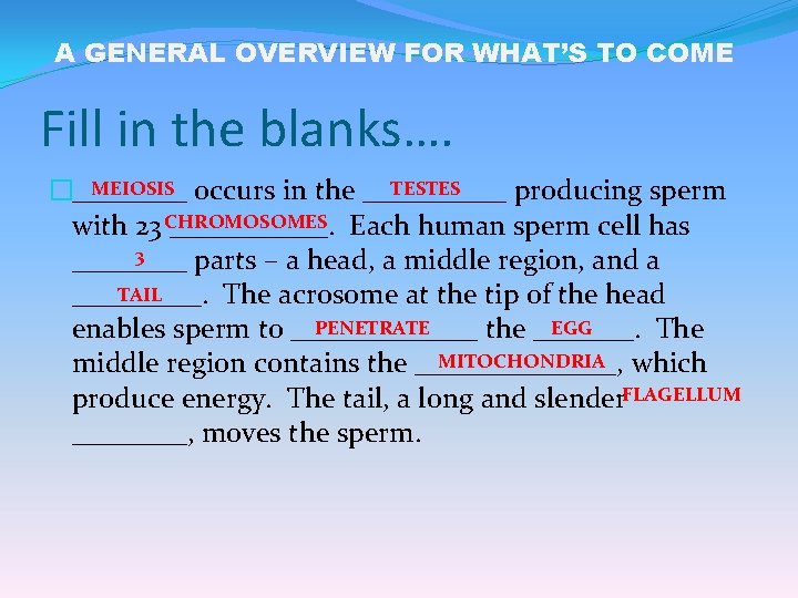 A GENERAL OVERVIEW FOR WHAT’S TO COME Fill in the blanks…. MEIOSIS occurs in