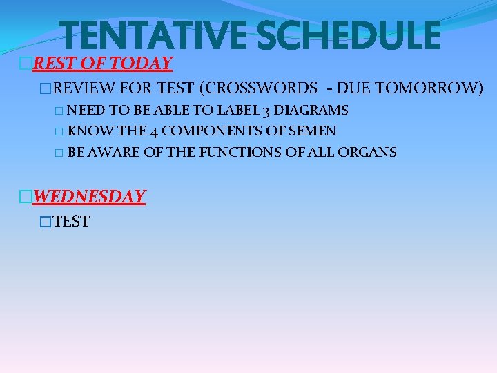 TENTATIVE SCHEDULE �REST OF TODAY �REVIEW FOR TEST (CROSSWORDS - DUE TOMORROW) � NEED