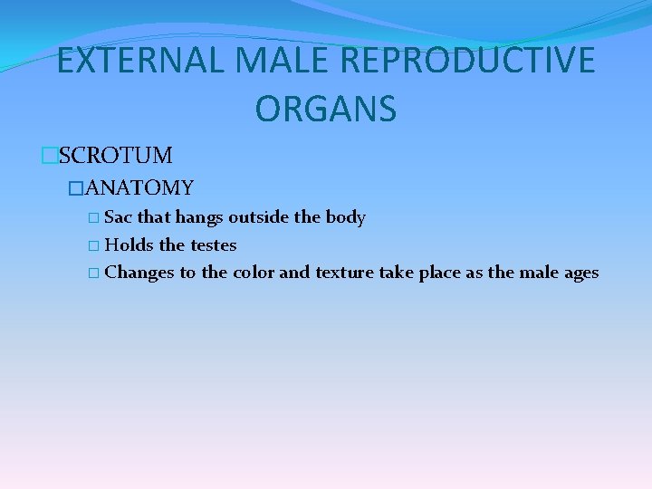 EXTERNAL MALE REPRODUCTIVE ORGANS �SCROTUM �ANATOMY � Sac that hangs outside the body �