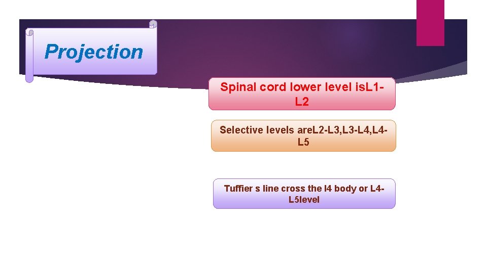 Projection Spinal cord lower level is. L 1 L 2 Selective levels are. L
