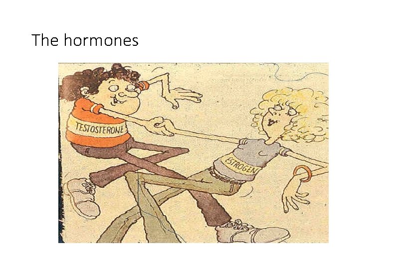 The hormones 