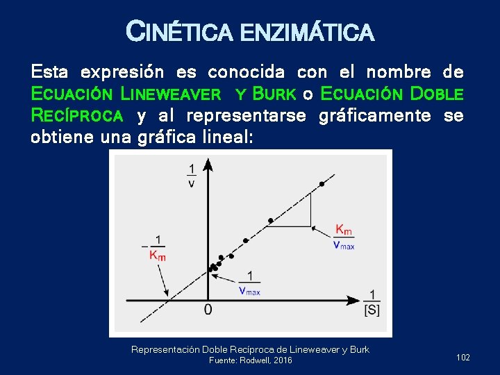 CINÉTICA ENZIMÁTICA Esta expresión es conocida con el nombre de E CUACIÓN L INEWEAVER