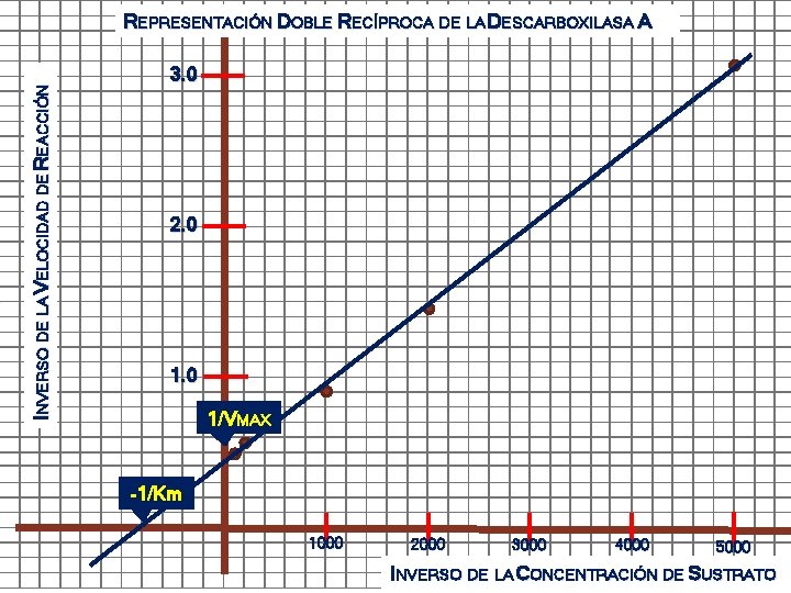 INVERSO DE LA VELOCIDAD DE REACCIÓN REPRESENTACIÓN DOBLE RECÍPROCA DE LA DESCARBOXILASA A 3.