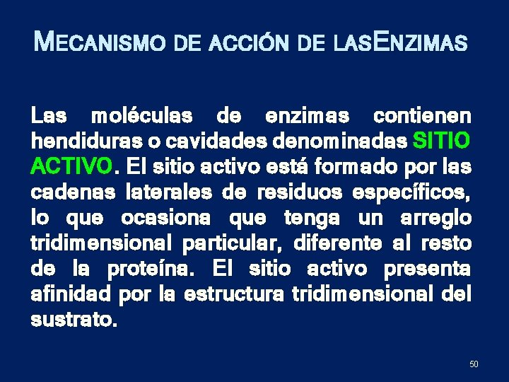 MECANISMO DE ACCIÓN DE LASE NZIMAS Las moléculas de enzimas contienen hendiduras o cavidades