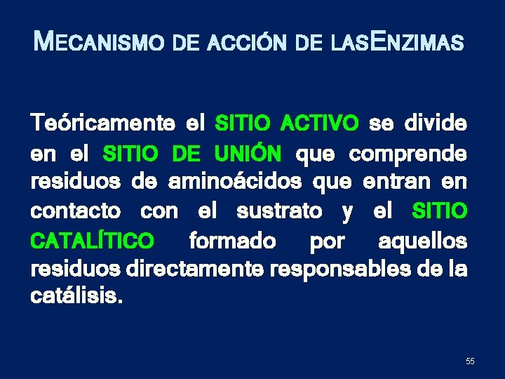 MECANISMO DE ACCIÓN DE LASE NZIMAS Teóricamente el SITIO ACTIVO se divide en el