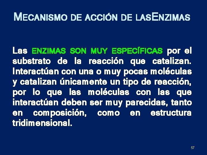 MECANISMO DE ACCIÓN DE LASE NZIMAS Las ENZIMAS SON MUY ESPECÍFICAS por el substrato