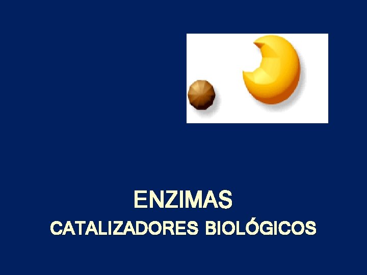 ENZIMAS CATALIZADORES BIOLÓGICOS 