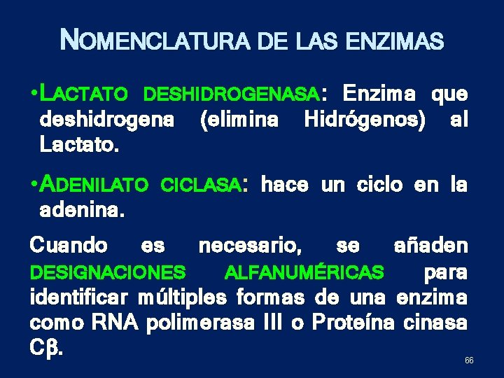 NOMENCLATURA DE LAS ENZIMAS • L ACTATO DESHIDROGENASA : Enzima que deshidrogena (elimina Hidrógenos)