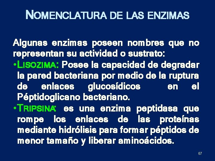 NOMENCLATURA DE LAS ENZIMAS Algunas enzimas poseen nombres que no representan su actividad o