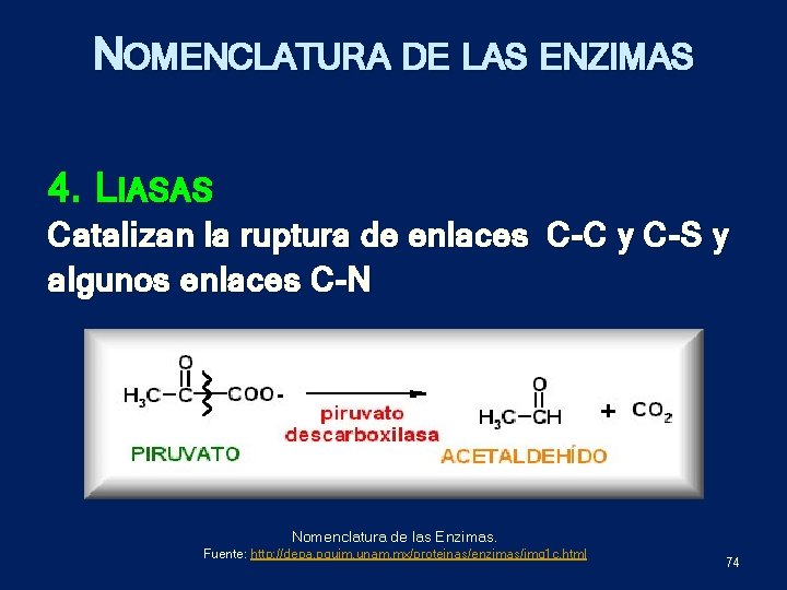 NOMENCLATURA DE LAS ENZIMAS 4. LIASAS Catalizan la ruptura de enlaces C-C y C-S