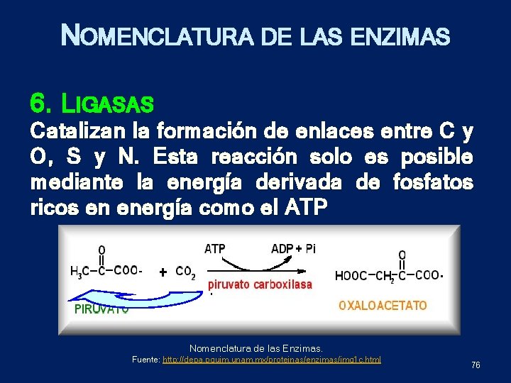 NOMENCLATURA DE LAS ENZIMAS 6. LIGASAS Catalizan la formación de enlaces entre C y