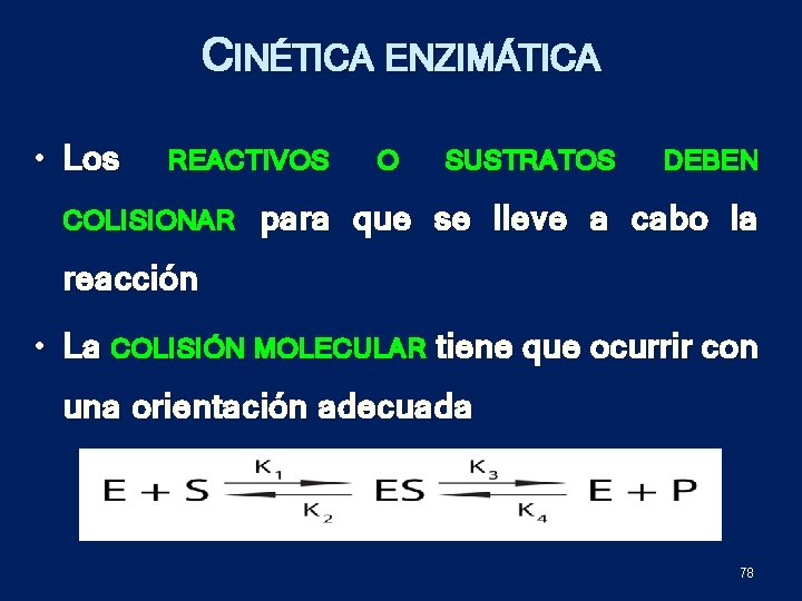 CINÉTICA ENZIMÁTICA • Los REACTIVOS COLISIONAR O SUSTRATOS DEBEN para que se lleve a