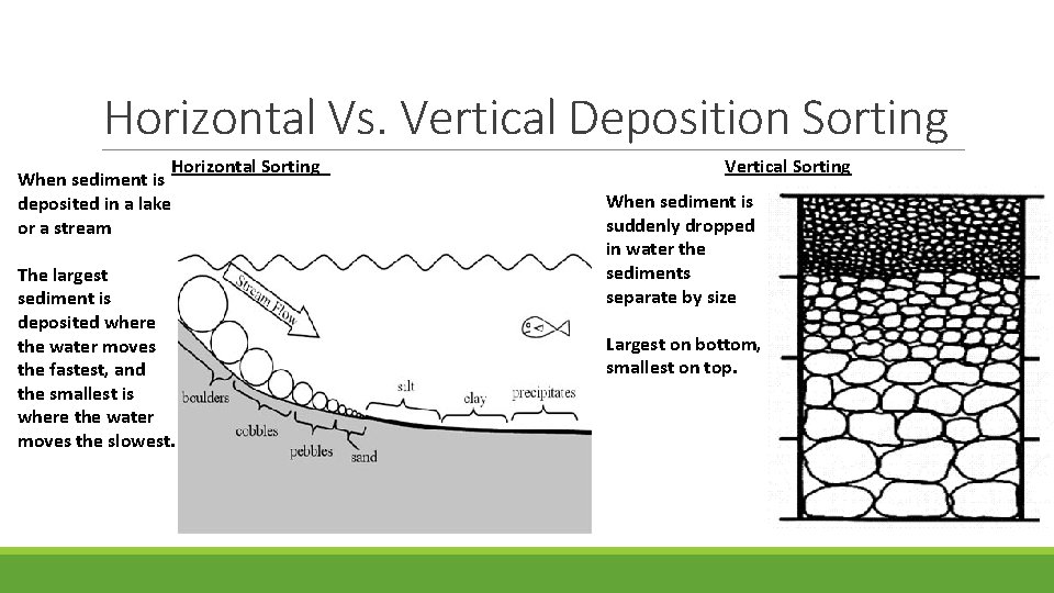 Horizontal Vs. Vertical Deposition Sorting Horizontal Sorting When sediment is deposited in a lake