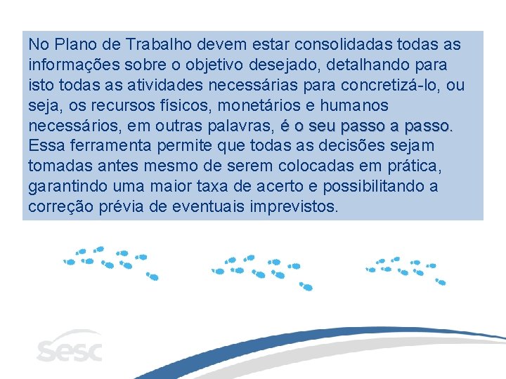 No Plano de Trabalho devem estar consolidadas todas as informações sobre o objetivo desejado,