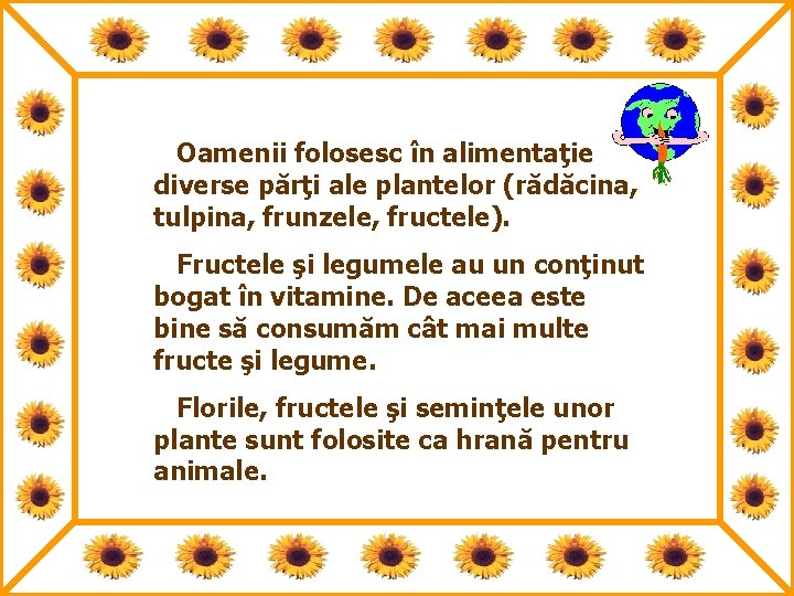 Oamenii folosesc în alimentaţie diverse părţi ale plantelor (rădăcina, tulpina, frunzele, fructele). Fructele şi