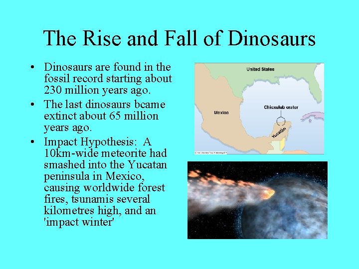 The Rise and Fall of Dinosaurs • Dinosaurs are found in the fossil record