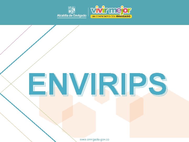 ENVIRIPS 