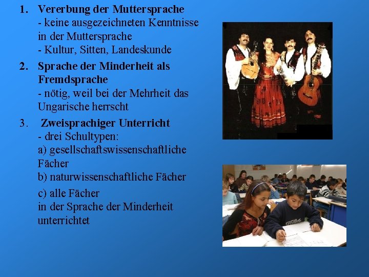 1. Vererbung der Muttersprache - keine ausgezeichneten Kenntnisse in der Muttersprache - Kultur, Sitten,