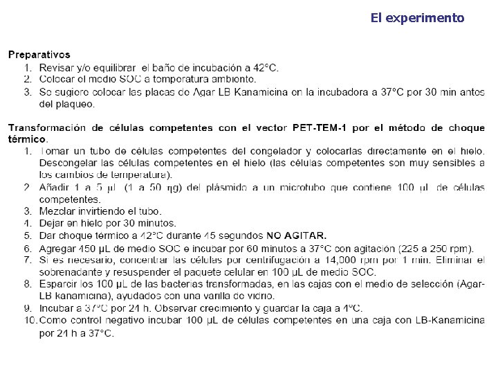 El experimento 