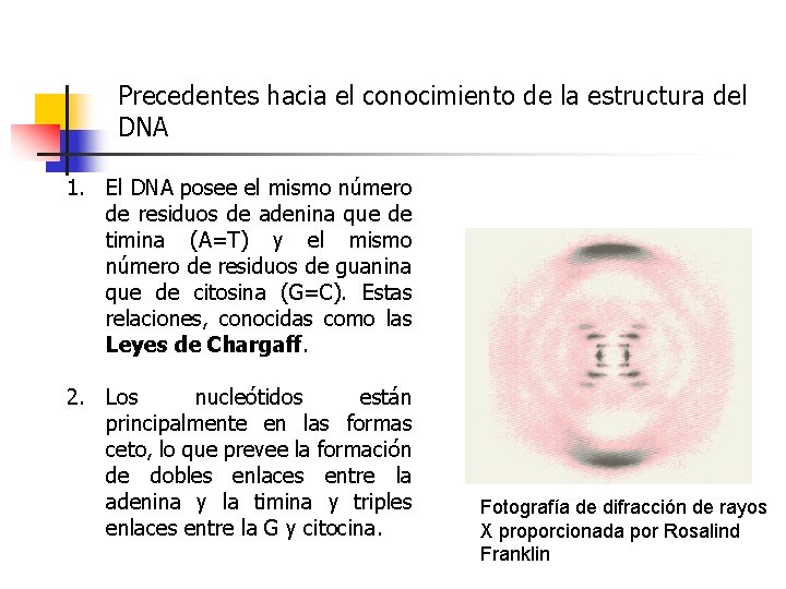 Precedentes hacia el conocimiento de la estructura del DNA 1. El DNA posee el