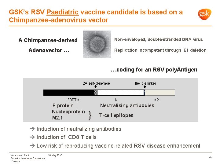 GSK’s RSV Paediatric vaccine candidate is based on a Chimpanzee-adenovirus vector Non-enveloped, double-stranded DNA