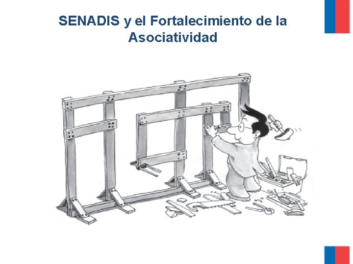 SENADIS y el Fortalecimiento de la Asociatividad 