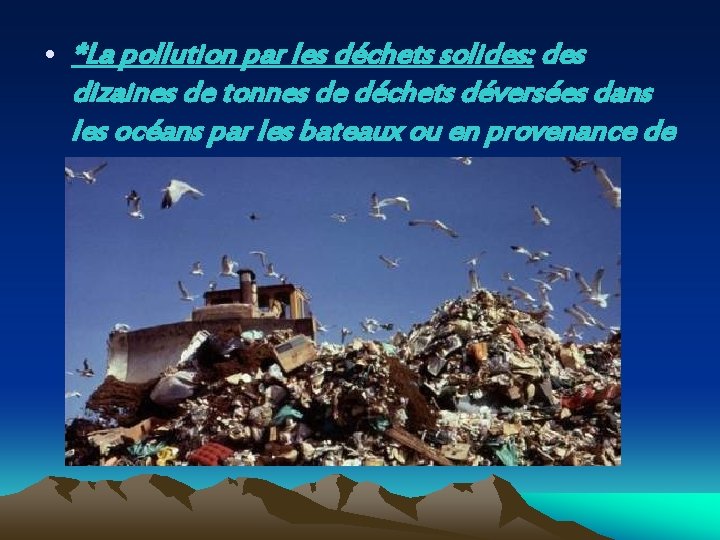 La pollution et ses effets sur la plante