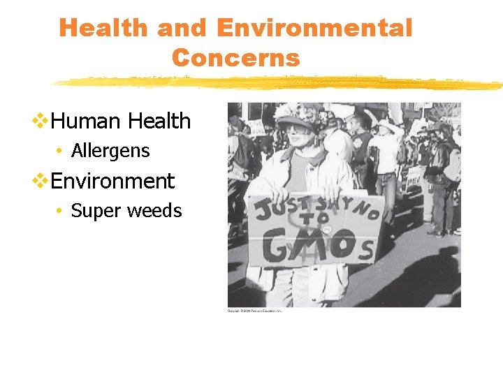 Health and Environmental Concerns v. Human Health • Allergens v. Environment • Super weeds