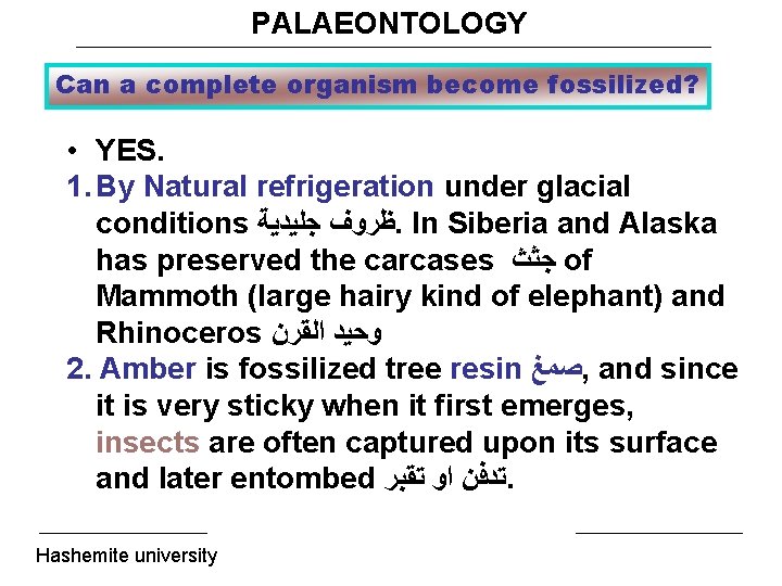 PALAEONTOLOGY Can a complete organism become fossilized? • YES. 1. By Natural refrigeration under