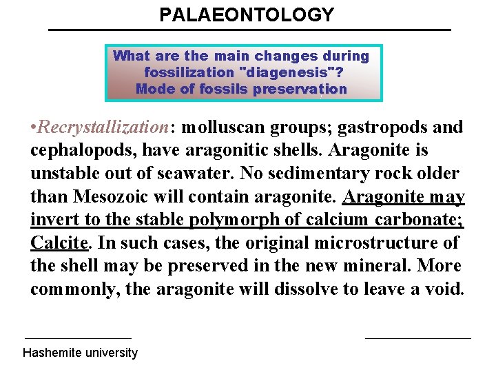 PALAEONTOLOGY What are the main changes during fossilization "diagenesis"? Mode of fossils preservation •