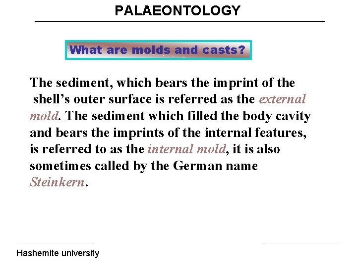 PALAEONTOLOGY What are molds and casts? The sediment, which bears the imprint of the