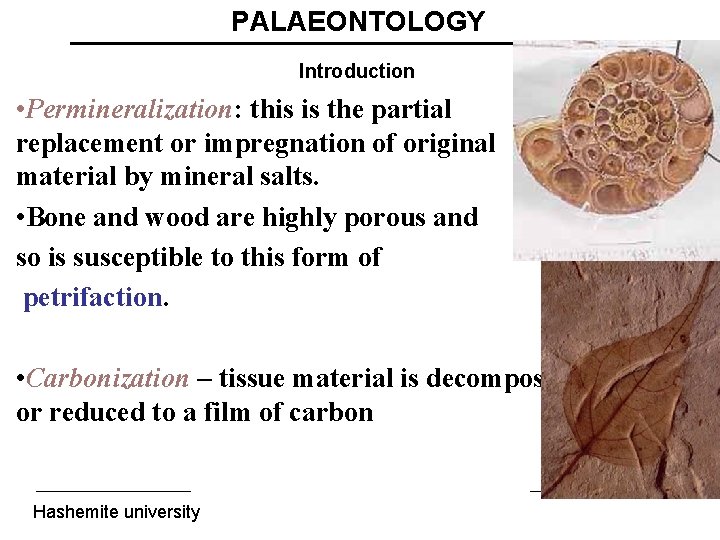 PALAEONTOLOGY Introduction • Permineralization: this is the partial replacement or impregnation of original material