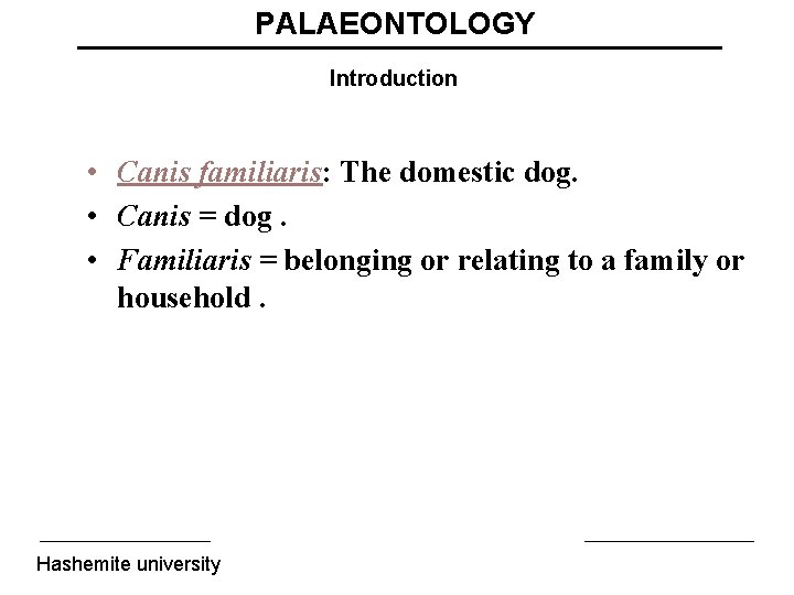 PALAEONTOLOGY Introduction • Canis familiaris: The domestic dog. • Canis = dog. • Familiaris