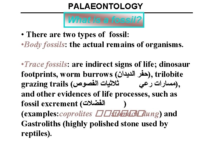 PALAEONTOLOGY What is a fossil? • There are two types of fossil: • Body