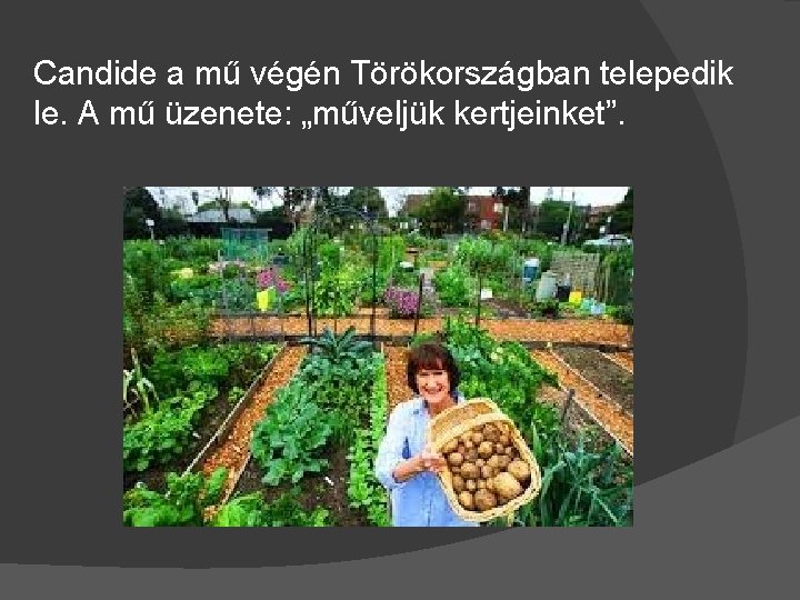 Candide a mű végén Törökországban telepedik le. A mű üzenete: „műveljük kertjeinket”. 